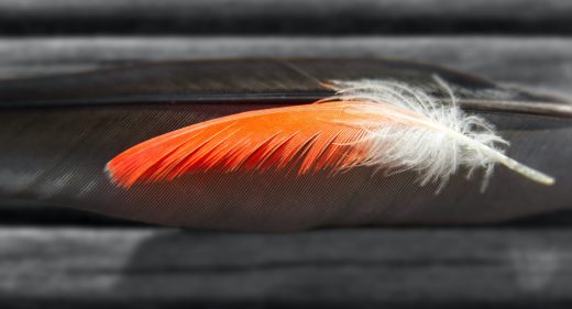 feather, feather, brick