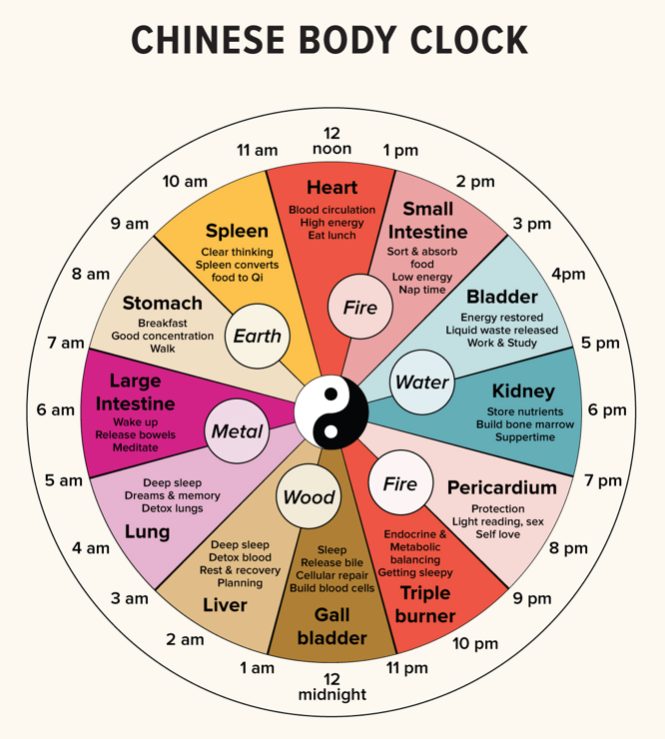 The Chinese Body Clock